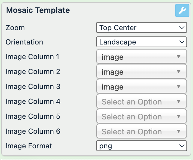 mosaic_template_settings.png