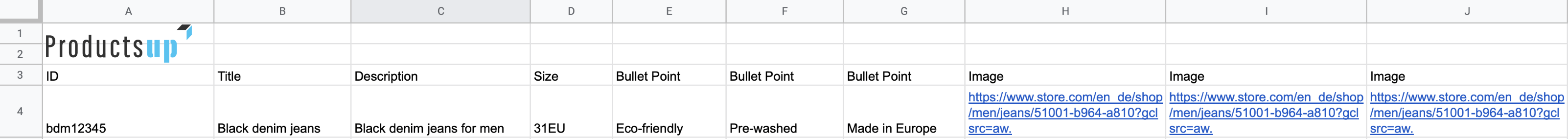 placeholder_setup_sheet_filled_example.png