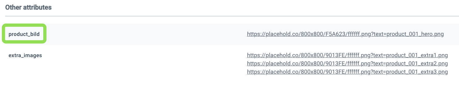 Product detail page confirms that the custom attribute names applied